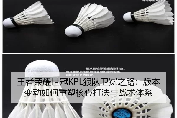 王者荣耀世冠KPL狼队卫冕之路：版本变动如何重塑核心打法与战术体系