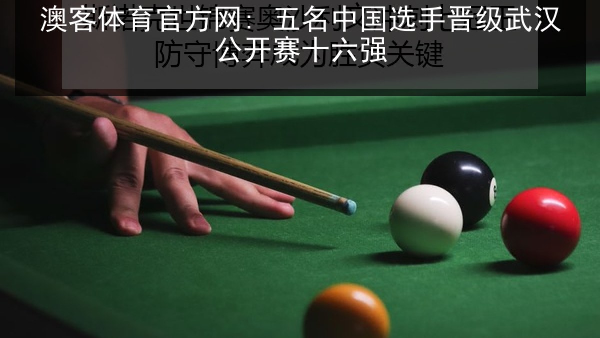 澳客体育官方网: 五名中国选手晋级武汉公开赛十六强